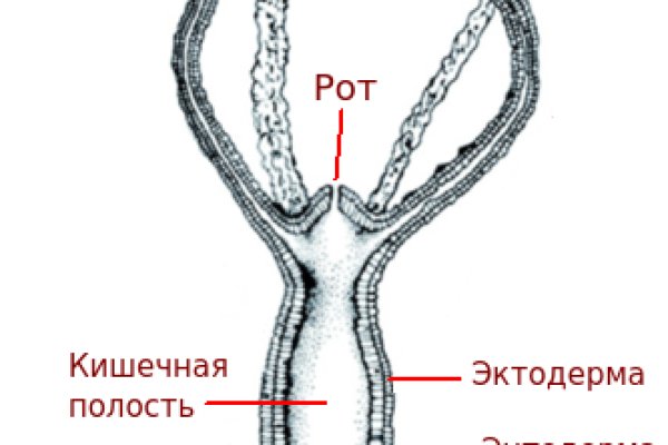 Кракен вход krakens13 at