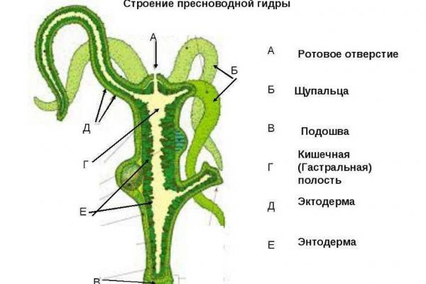 Kraken 16at сайт